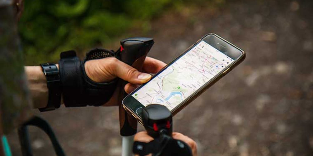Apps imprescindibles en tu escapada rural: Wikiloc, Arbolapp, Skymap y iNaturalist
