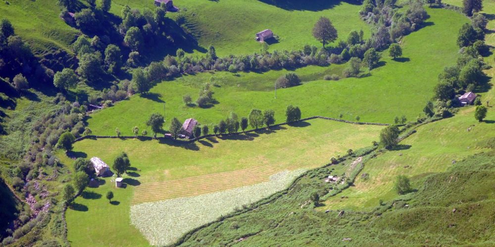 Qué hacer en tu escapada rural