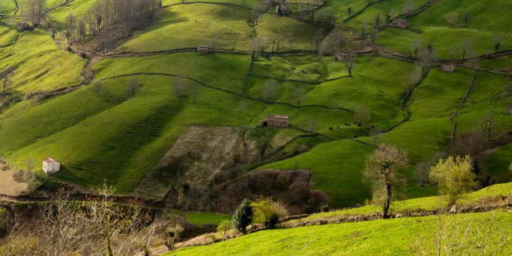 La tranquilidad de los Valles Pasiegos